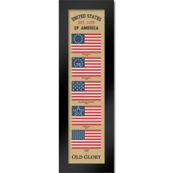 US Flag Old Glory Heritage Framed Print
