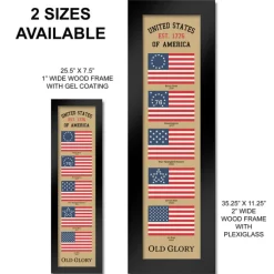 US Flag Old Glory Heritage Framed Print