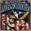 USAF Fighting Eagle 10 x 10 inch Wall Sign
